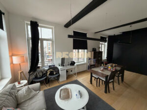 Appartement 2 pièces à Lille — Duplex Haut de Gamme — photo 13