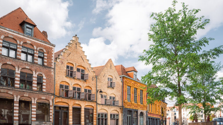 Façades de maisons typiques en briques dans une rue de Lille, Nord.