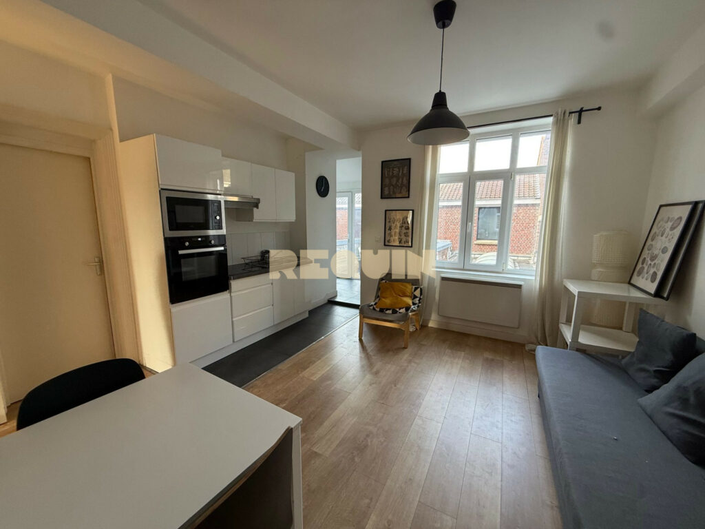 Appartement 5 pièces à Lille — Grand T5 avec terrasse — photo 3
