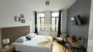 Appartement 3 pièces à Lille — T3 Haut de gamme — photo 9