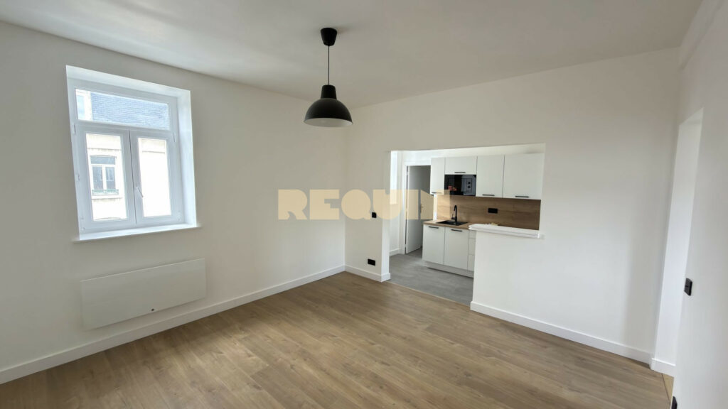 Appartement 2 pièces à Lille — T2 entièrement rénové — photo 1