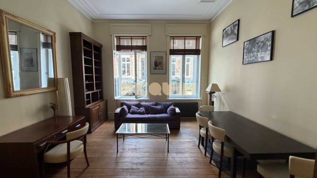 Appartement 3 pièces à Lille — T2 bis au pied des Beaux-Arts — photo 1