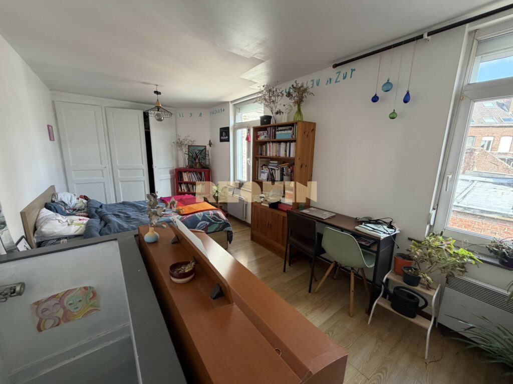 Appartement 2 pièces à Lille — T2 en duplex — photo 3